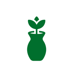 Flowers Subscription