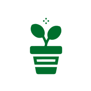 Indoor Plants