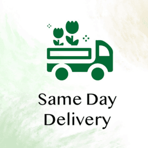 Same Day Delivery