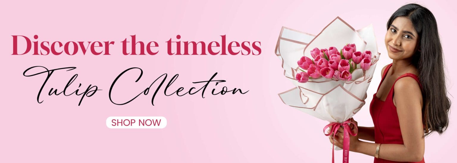 Tulip Flowers Collection
