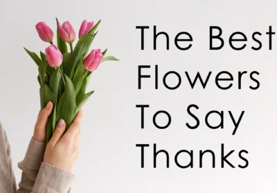 Best Flowers :Top 10 Unique Thank You Flowers in India | BTF