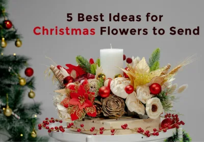 5 Best Ideas for Christmas Flowers to Send | Black Tulip Flowers India