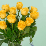 Classic dozen Yellow Roses (1)