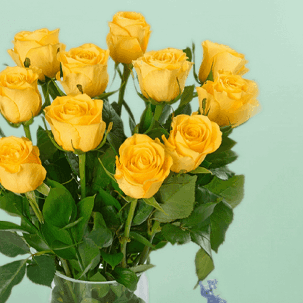 Classic dozen Yellow Roses (1) Classic dozen yellow rose bouquet wrapped elegantly with fresh green fillers and ribbon, perfect for birthday celebrations, anniversaries, and cheerful gifting moments.