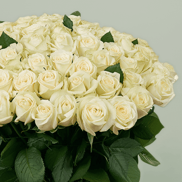 Heavenly White Roses (1) Heavenly White Roses bouquet with fresh white roses arranged elegantly for weddings, anniversaries, and special occasions.