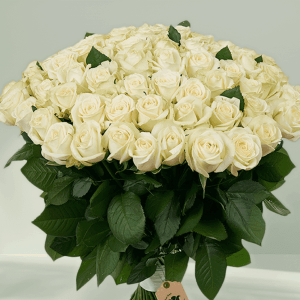 Heavenly White Roses (3) Heavenly White Roses bouquet with fresh white roses arranged elegantly for weddings, anniversaries, and special occasions.
