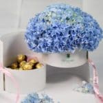 Hydrangea Harmony - Order Blue Hydrangeas with chocolate