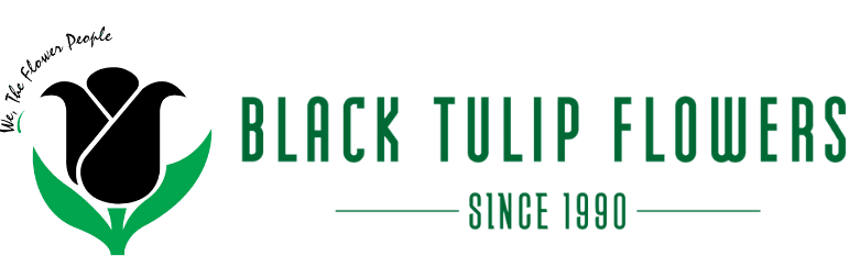 Black Tulip Flowers