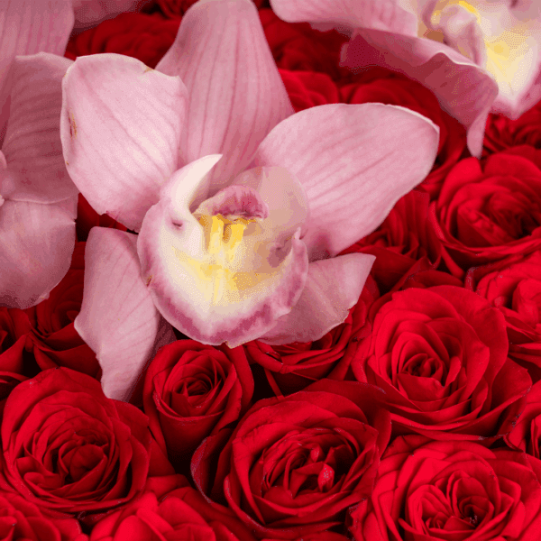 Heart Shaped Flower Arrangement - Romance de Rosa by Black Tulip Flowers | Unique Floral Gifts for Every Occasion