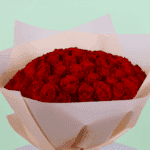 Velvet Roses (3)