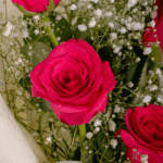 Blush Roses with Eucalyptus Love (4)