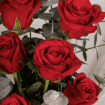 Crimson Grace – 8 Red Roses (2)