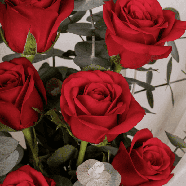 Romantic arrangement of 8 red roses in rich crimson tones, perfect for special moments.