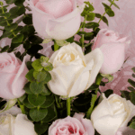 Serene Blush - Pink Peach Roses (5)