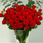 Blush-toned Red Roses in a Vase (4)