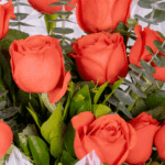 Golden Hour -10 Orange Roses Bouquet (1)