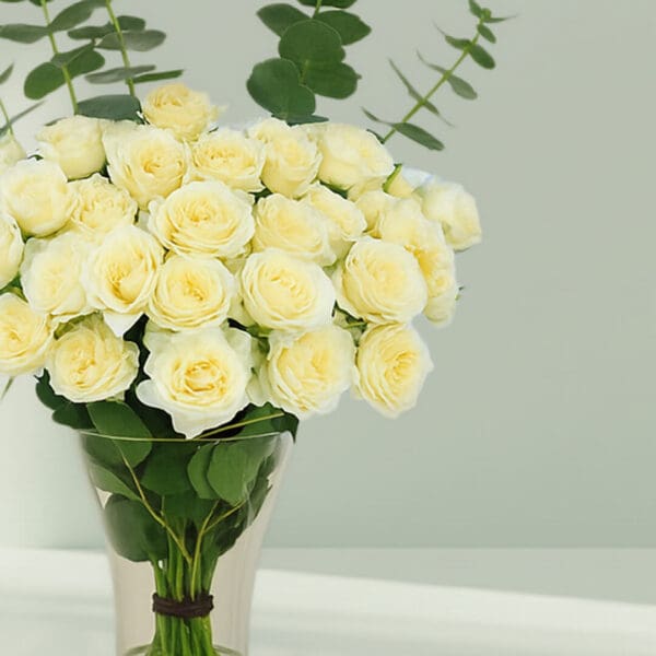 A bunch of Fresh white roses and eucalyptus in a vase for centerpiece