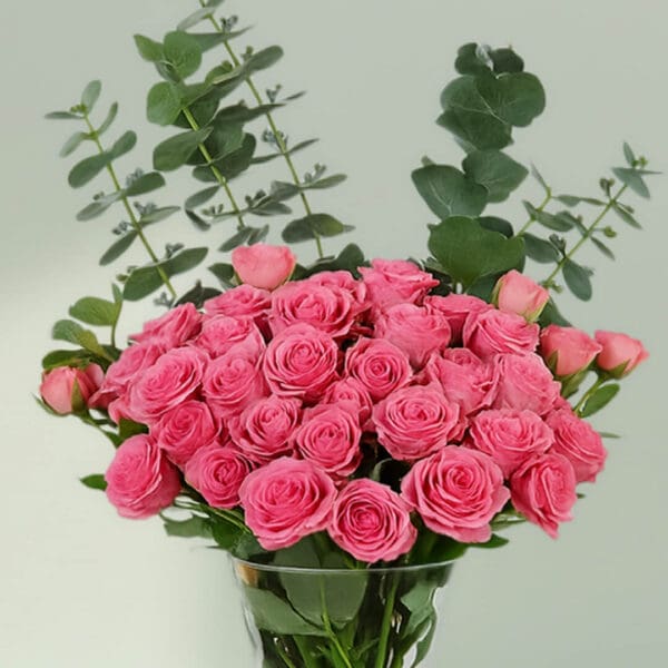 A bunch of Pink roses and eucalyptus in glass vase
