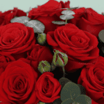 red-roses-white-luxury-box
